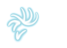 Logo-MKTCC